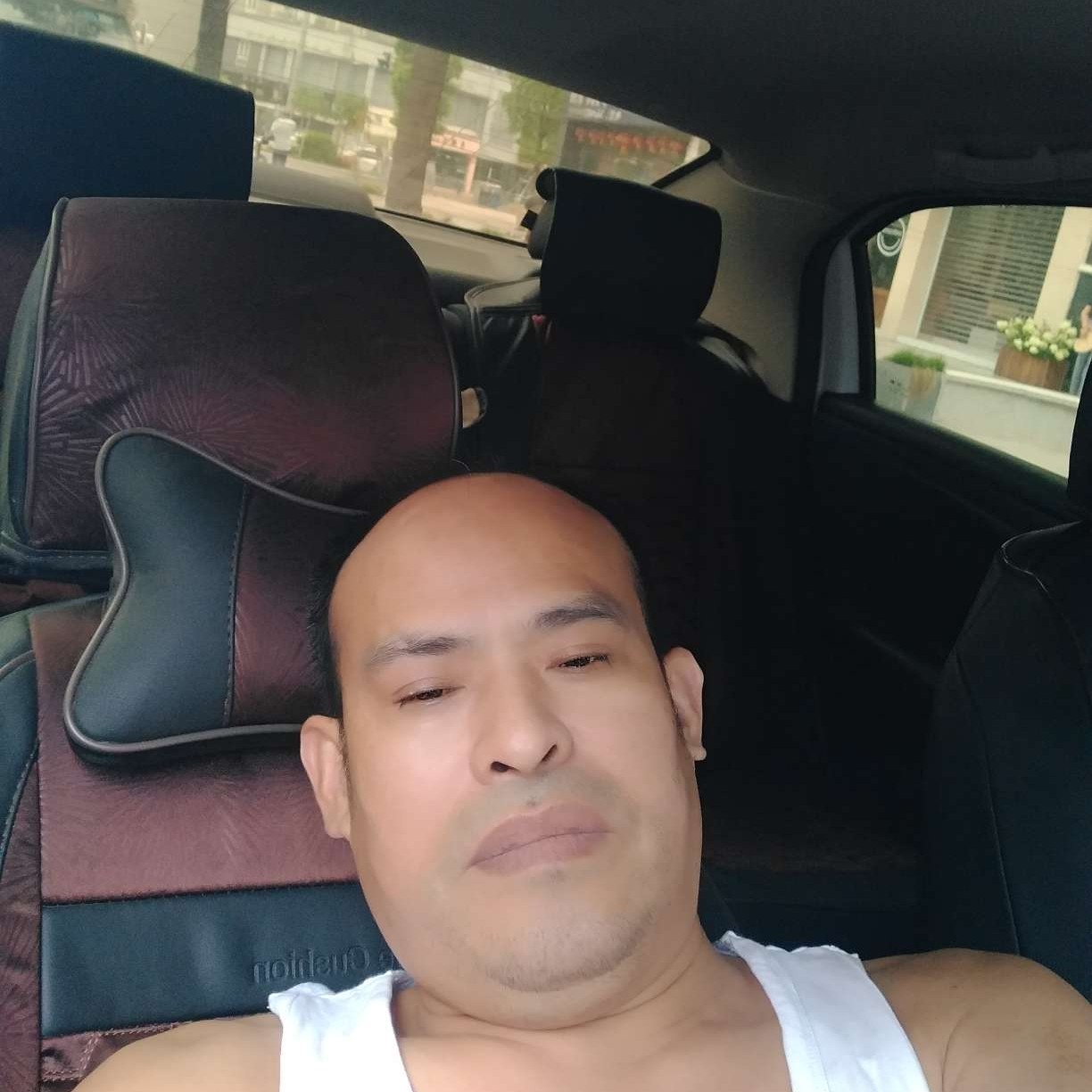 真淳有晨阳的照片