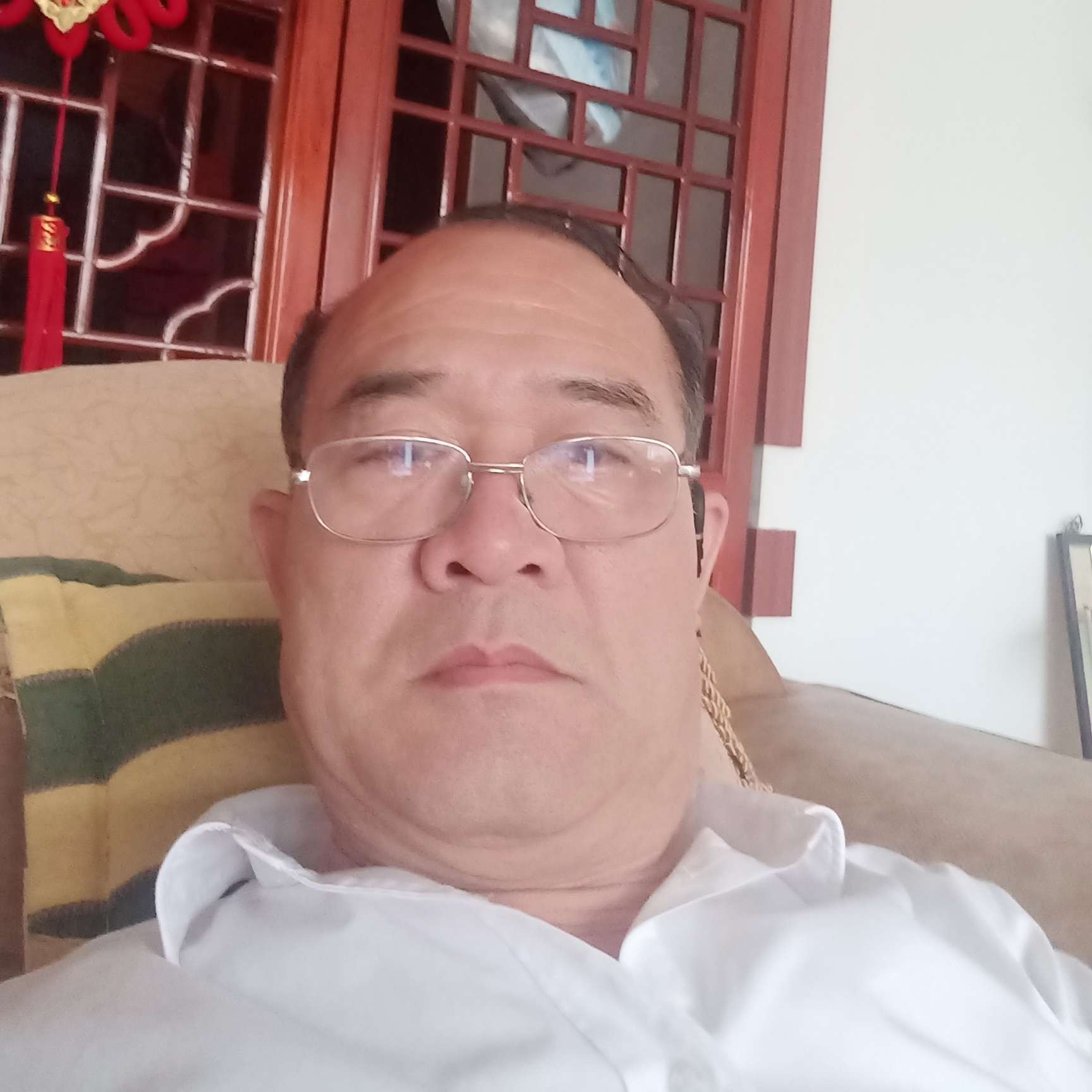 毛毛虫虫子的照片