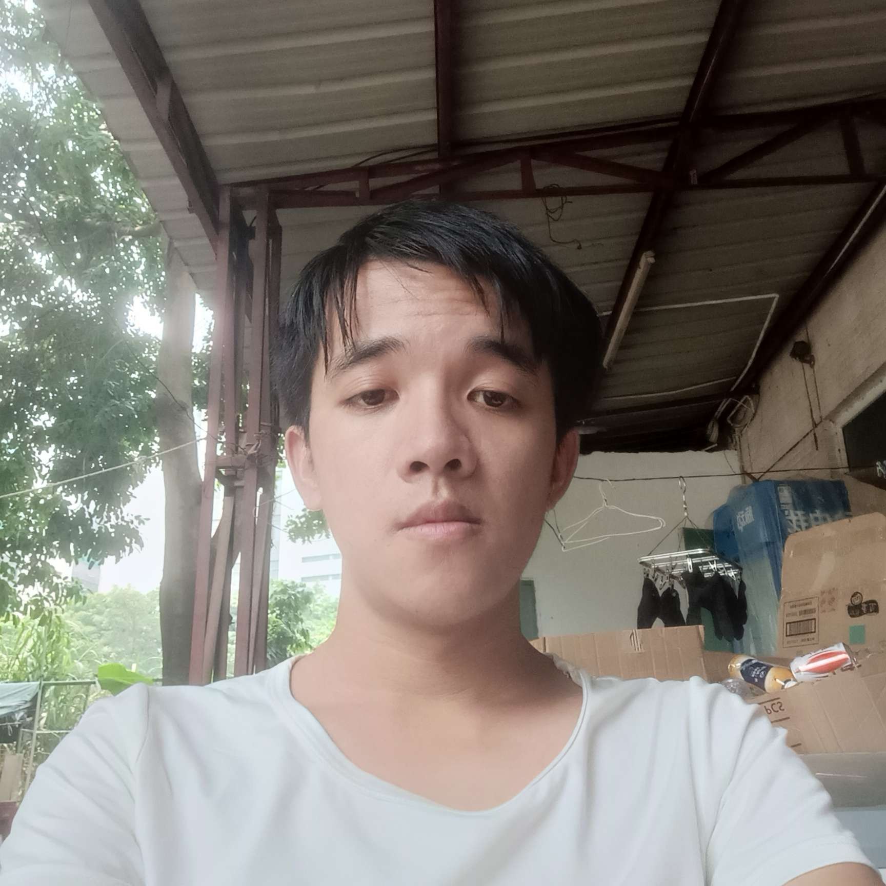 马蹄露的照片