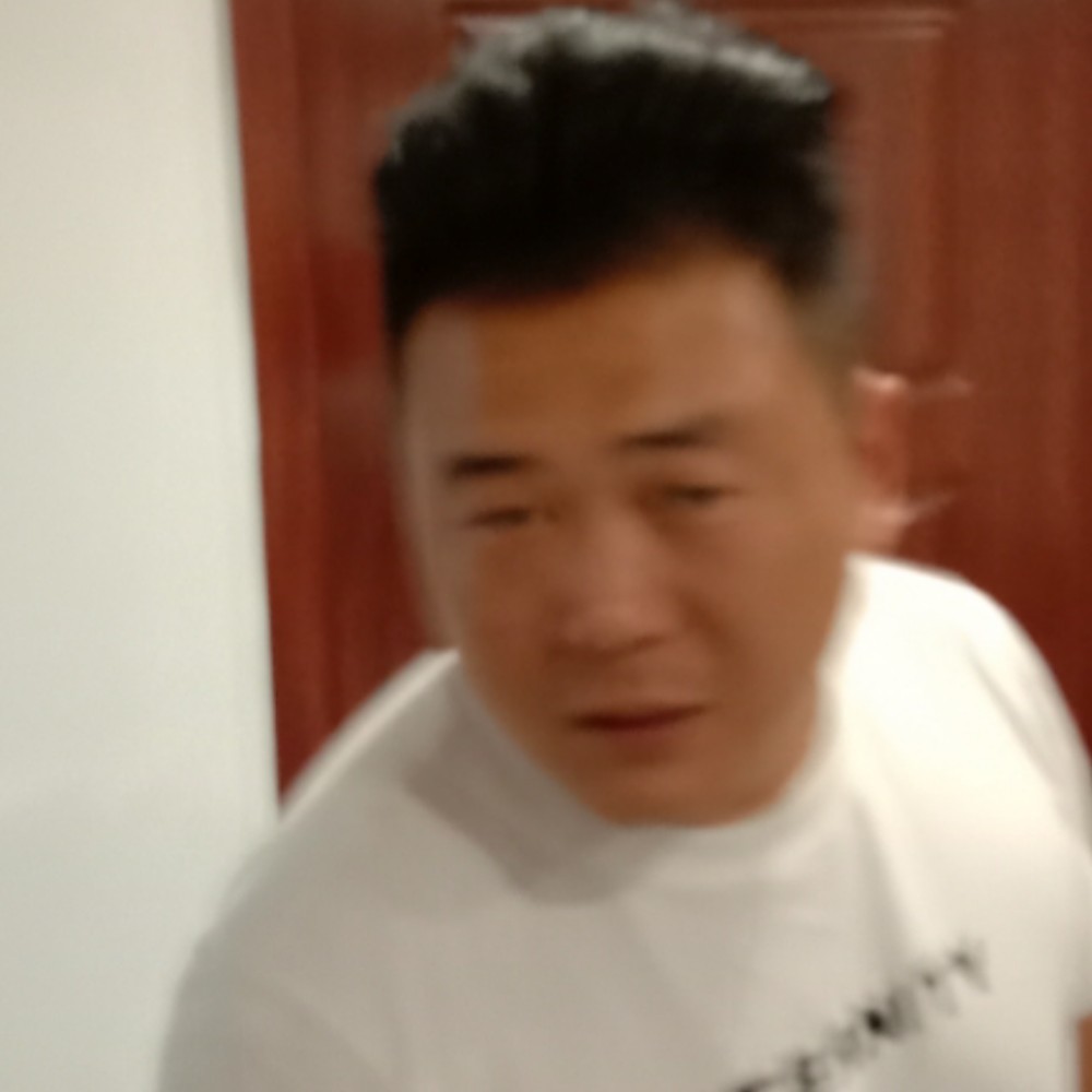 白羊和标致的照片