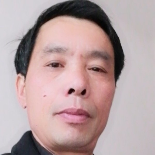 小天鹅放弃明媚的照片