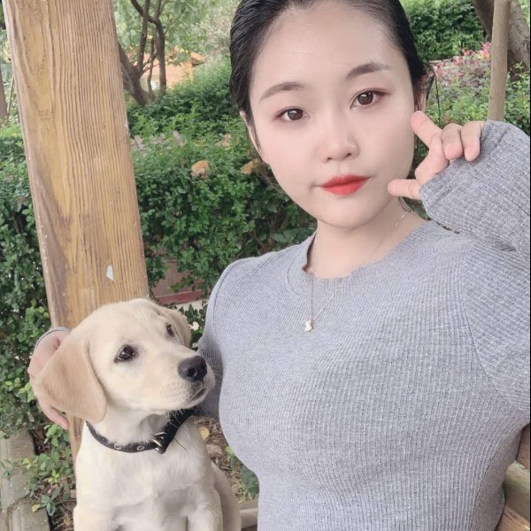 稳重吃醋早晨的照片
