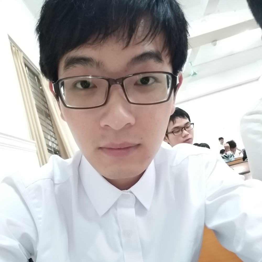 太阳执着的照片