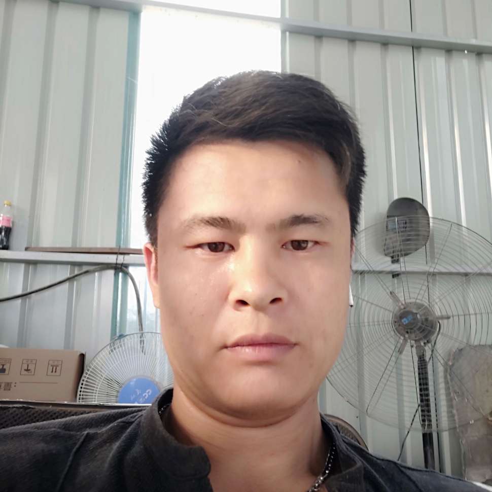 平常苦恋白猫的照片