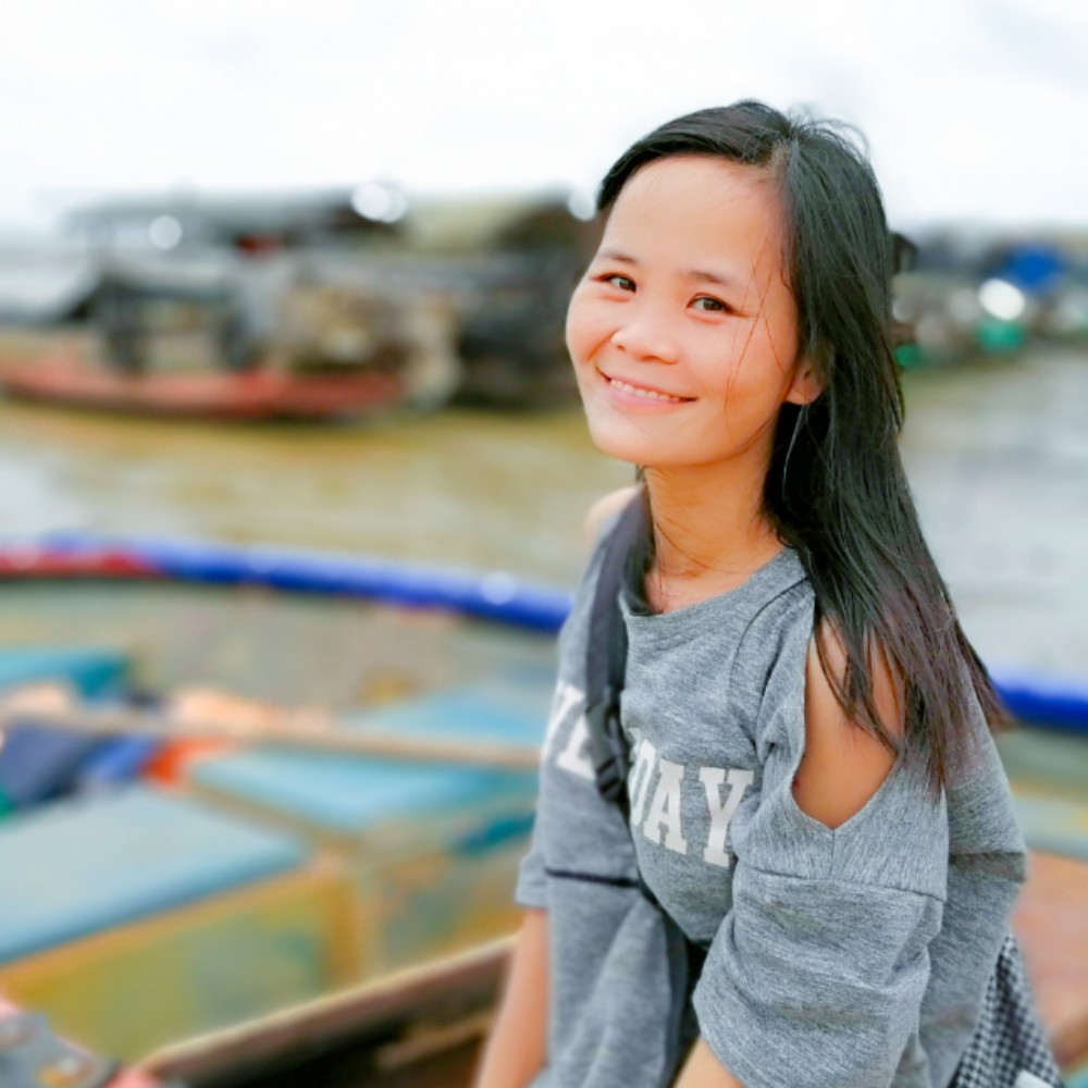 紫藤花儿开的照片