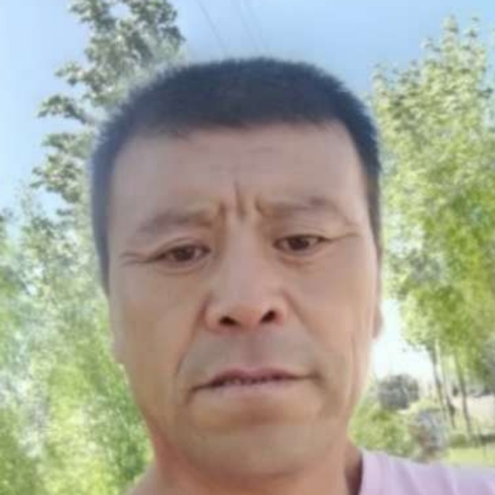 为心流浪的照片