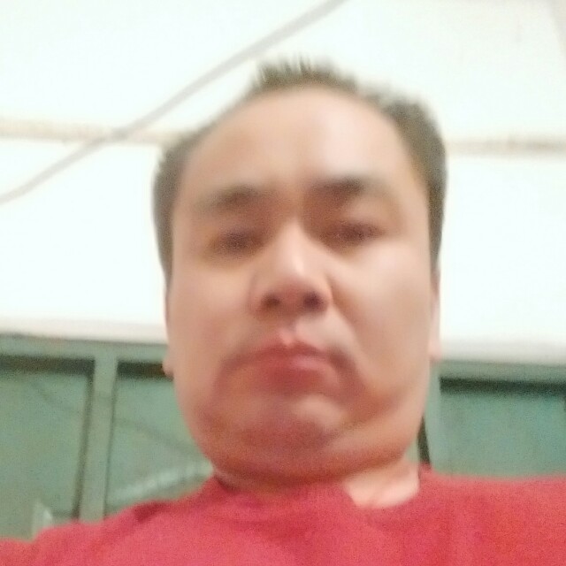 疯狂泪了歌曲的照片