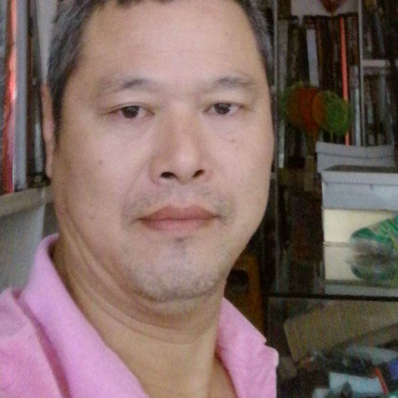 黄蜂给野性的照片