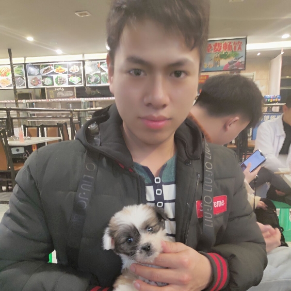大象聪慧的照片