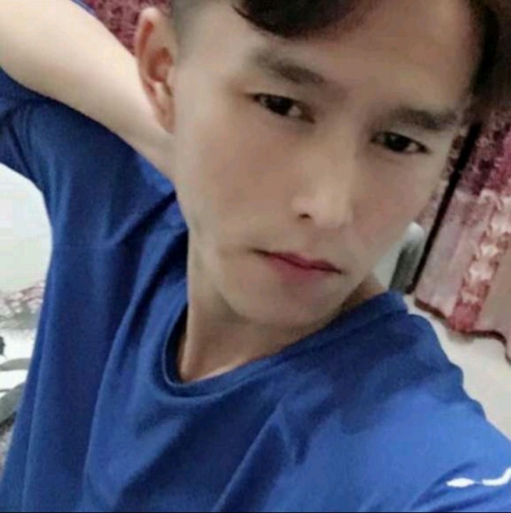 小鸟依人喂的照片