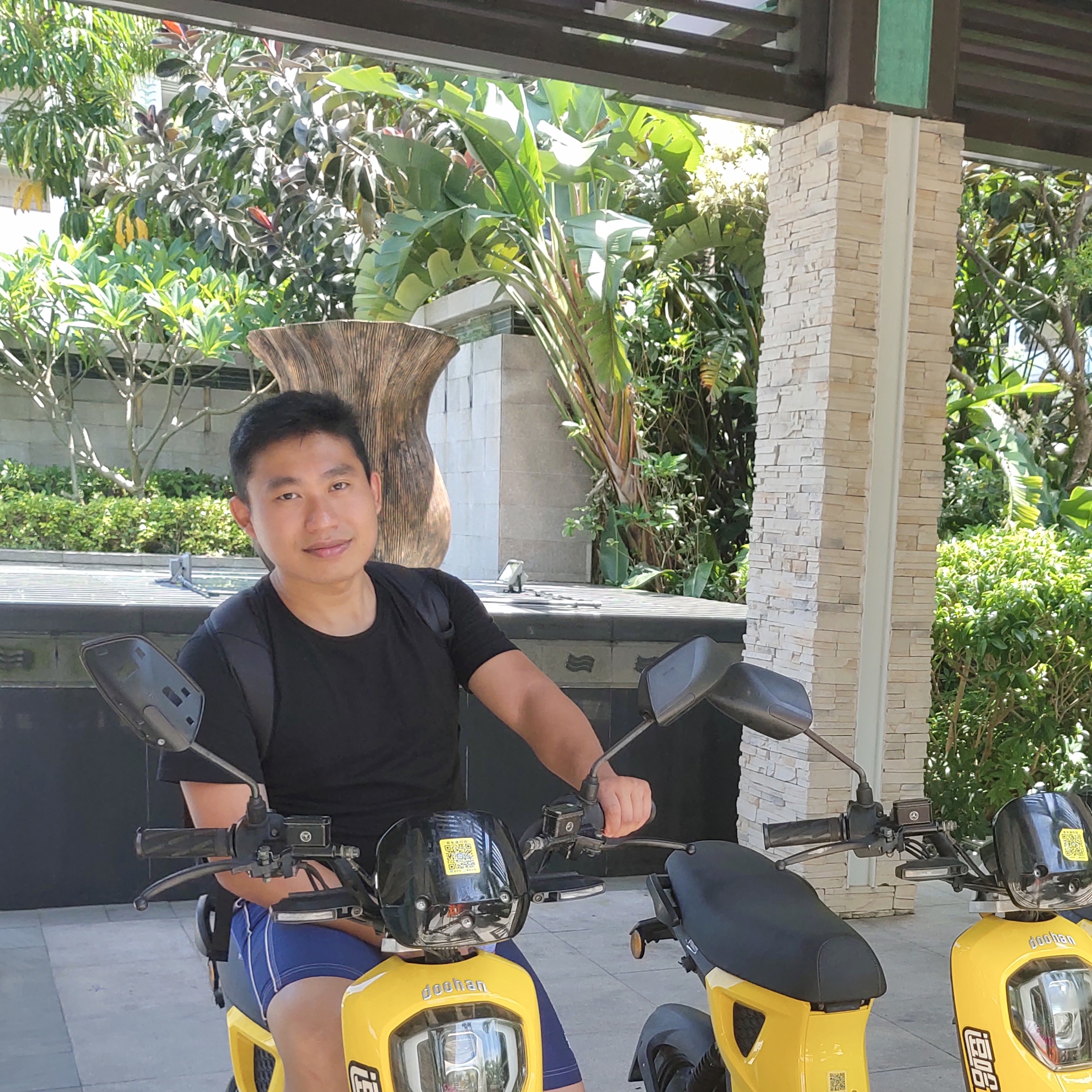 极光的梦的照片