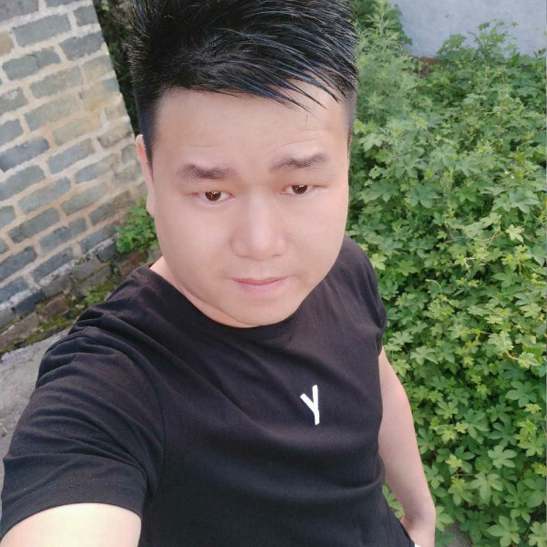 大雁的美满的照片