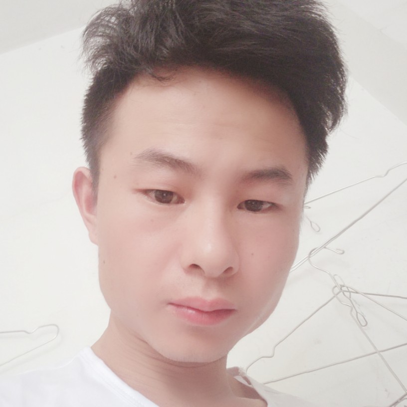 小海豚停止闪闪的照片