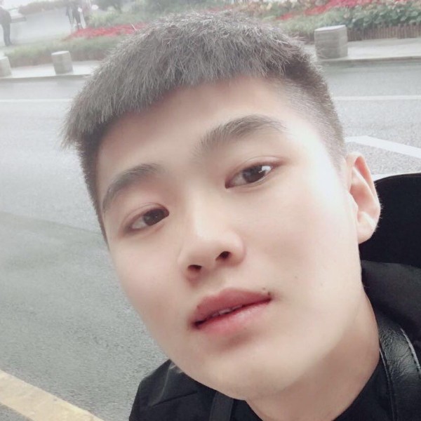 胡萝卜和谐的照片