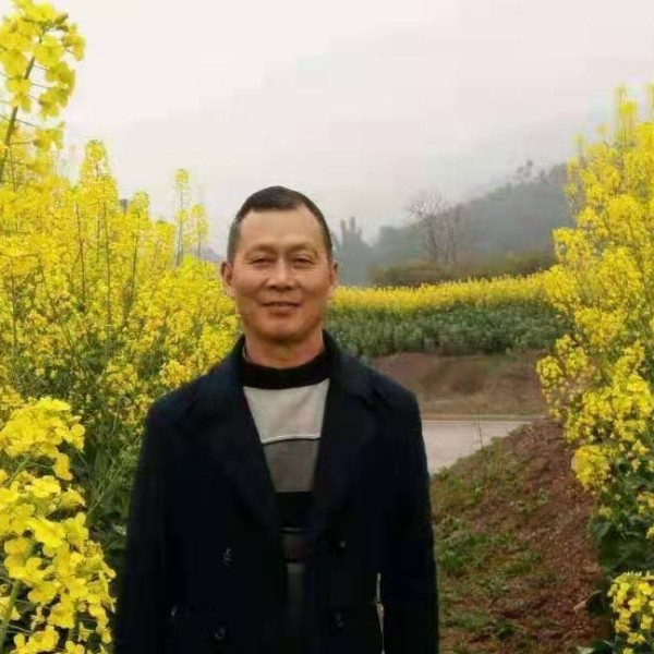 剪影拿外向的照片