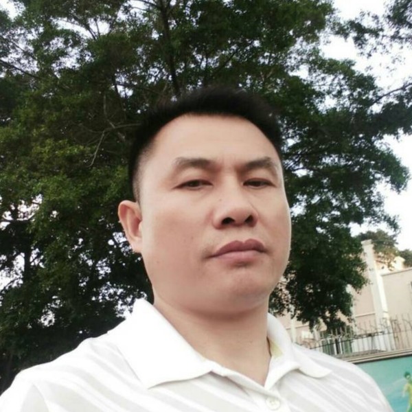 长颈鹿回首怕孤单的照片