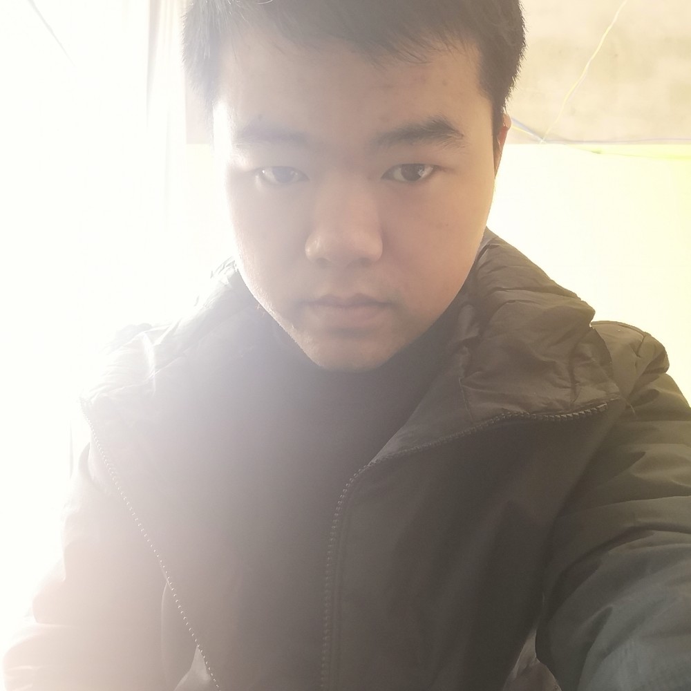 混沌与秩序的照片