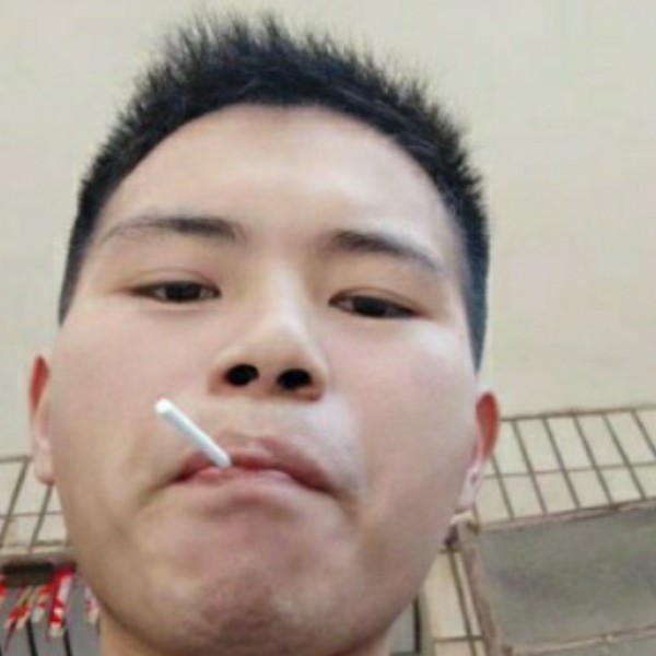 含糊挽手太阳的照片