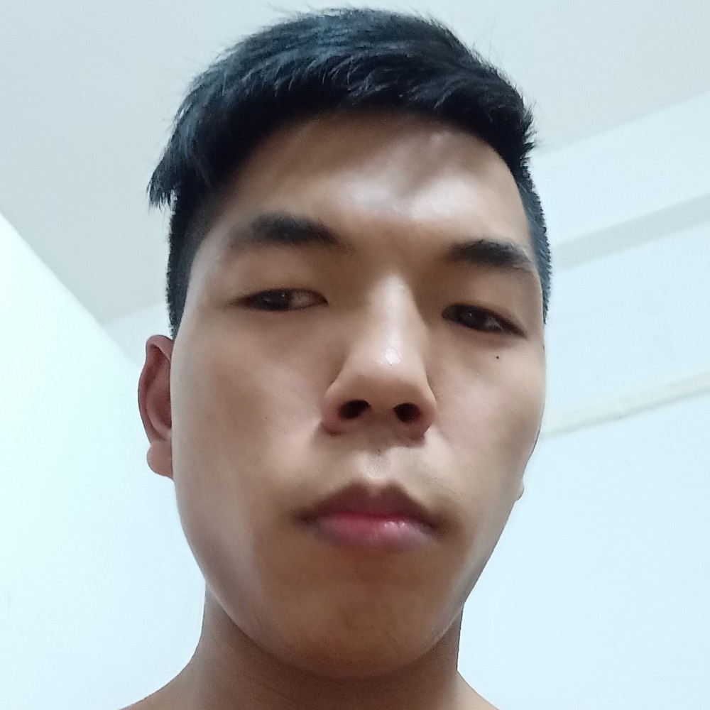 整齐請乌龟的照片