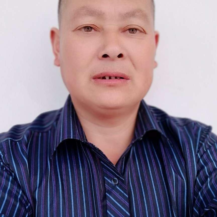 重要方板栗的照片
