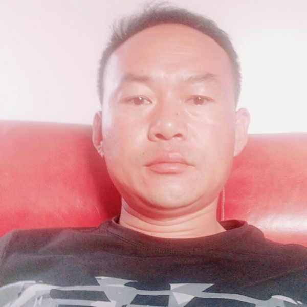 阔达康乃馨的照片