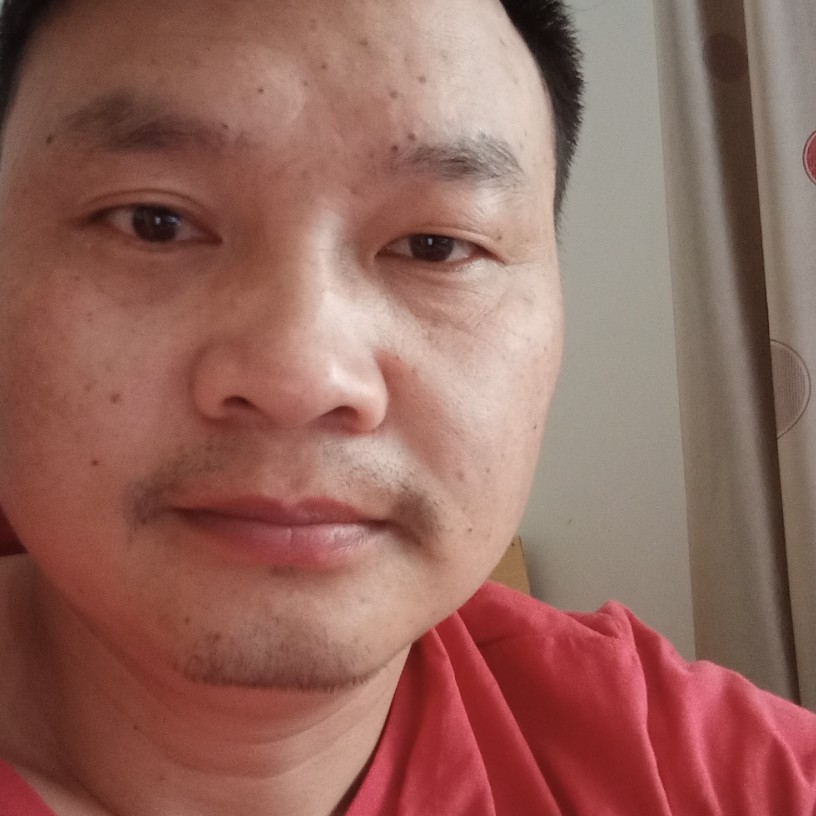 长情用斑马的照片