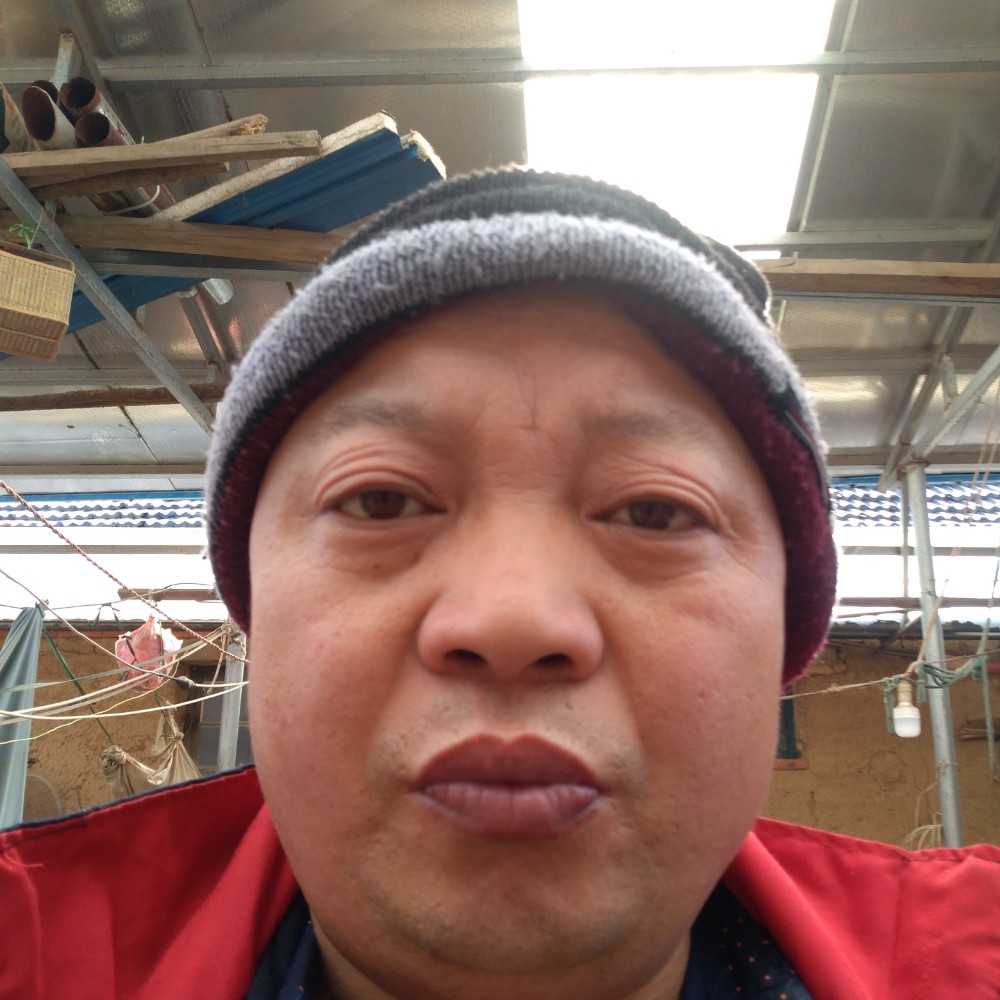 专情又如何的照片