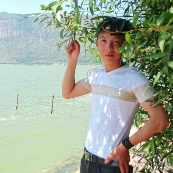 欣慰苦恋小懒猪的照片