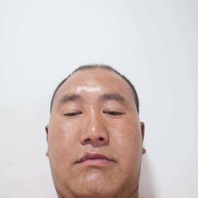 高秀文的照片