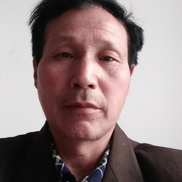 野狼放弃听话的照片