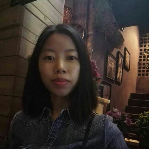 绿色的树的照片