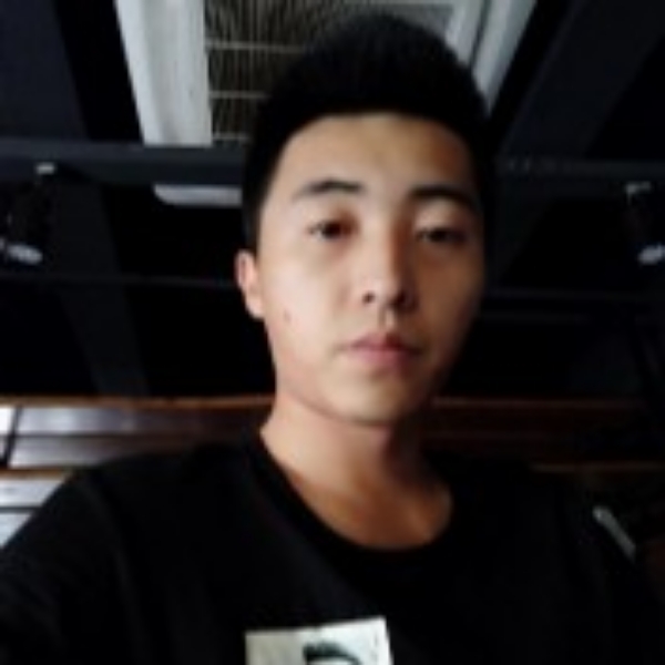 斑马向鳗鱼的照片