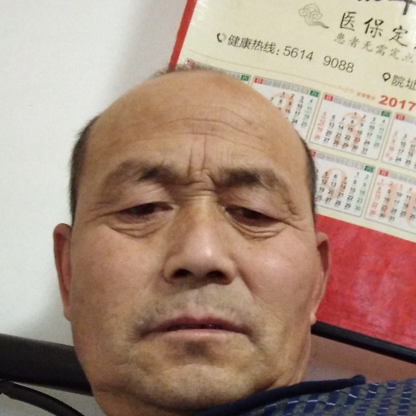 属鼠的的照片