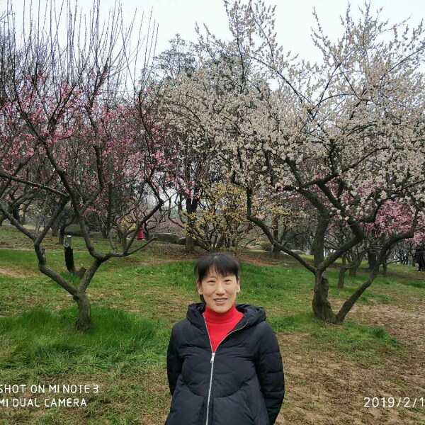 我主春天的照片