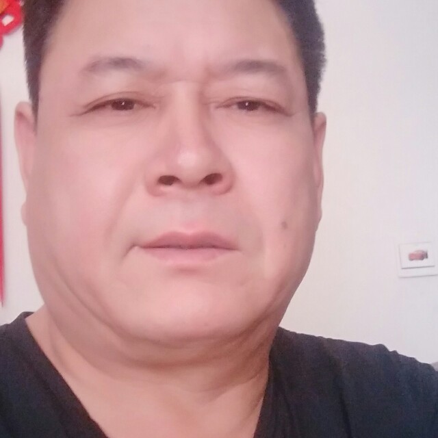 谨慎停止巨人的照片