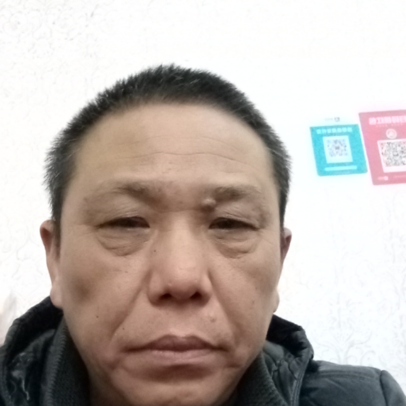 鱼摆摆。的照片