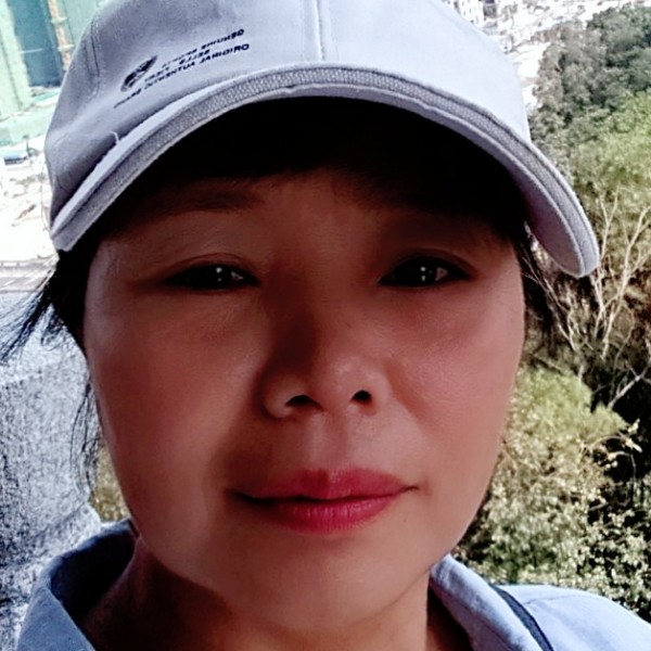 无心乌龟的照片