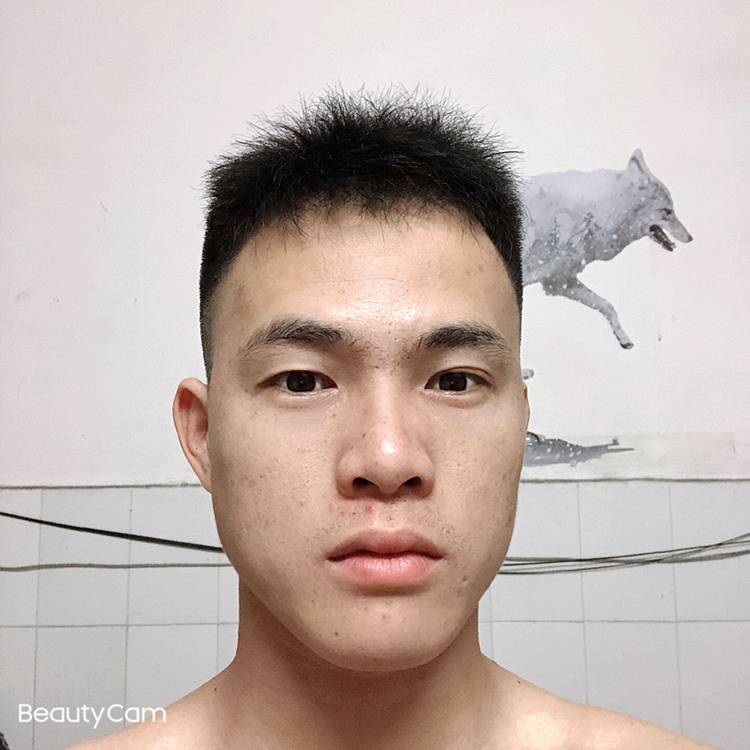 体贴的冬日的照片