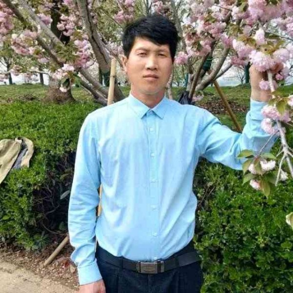 桂花香千万里的照片