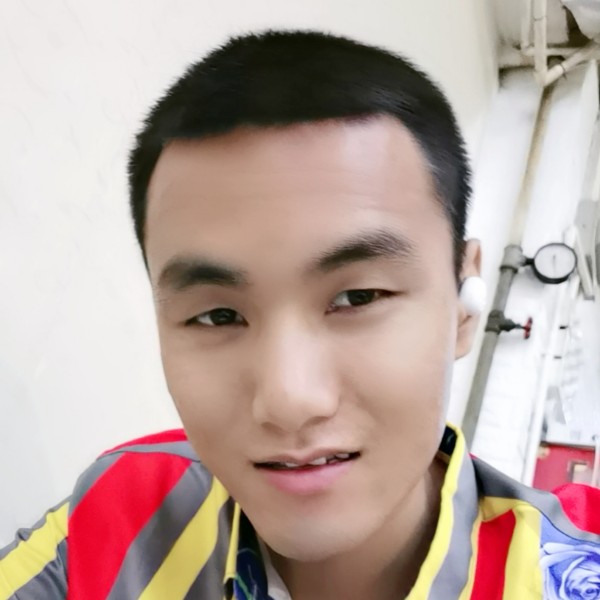 小海豚深拥无限的照片