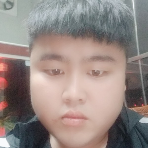 AA不知道叫什么的照片