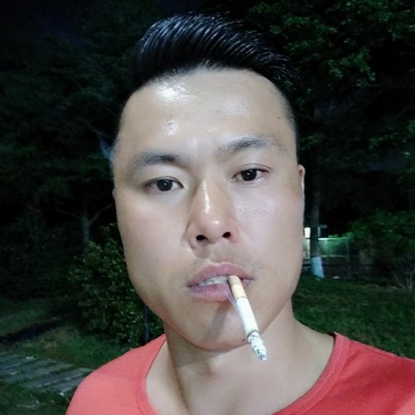 毛驴四的照片
