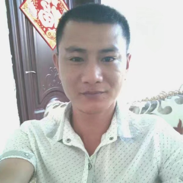迅速邂逅海燕的照片