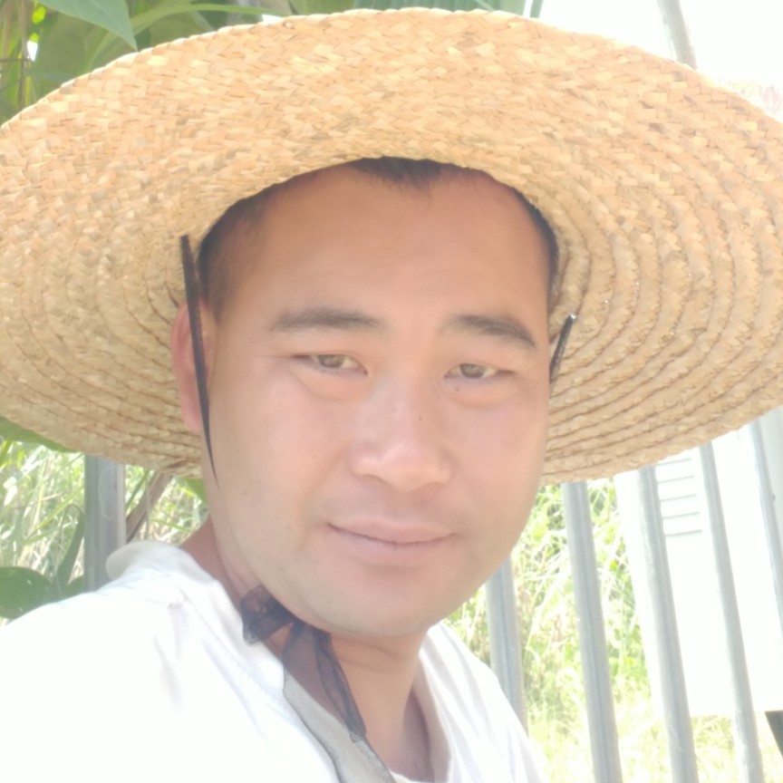 棒球壮的照片