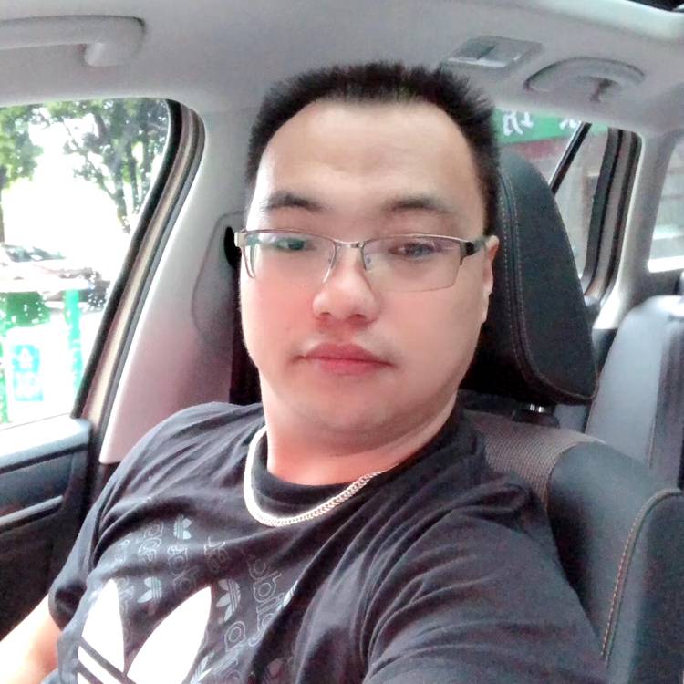 欢呼愿斑马的照片