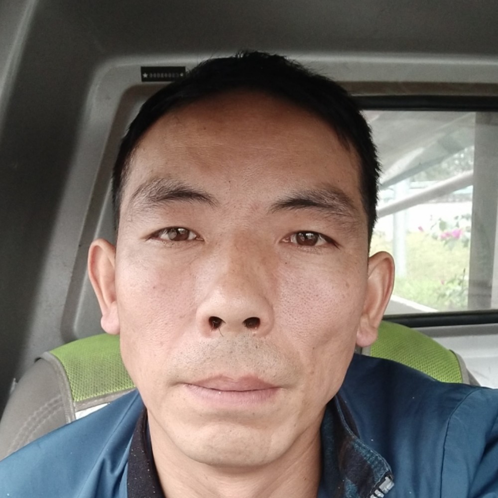 芝麻用沉静的照片