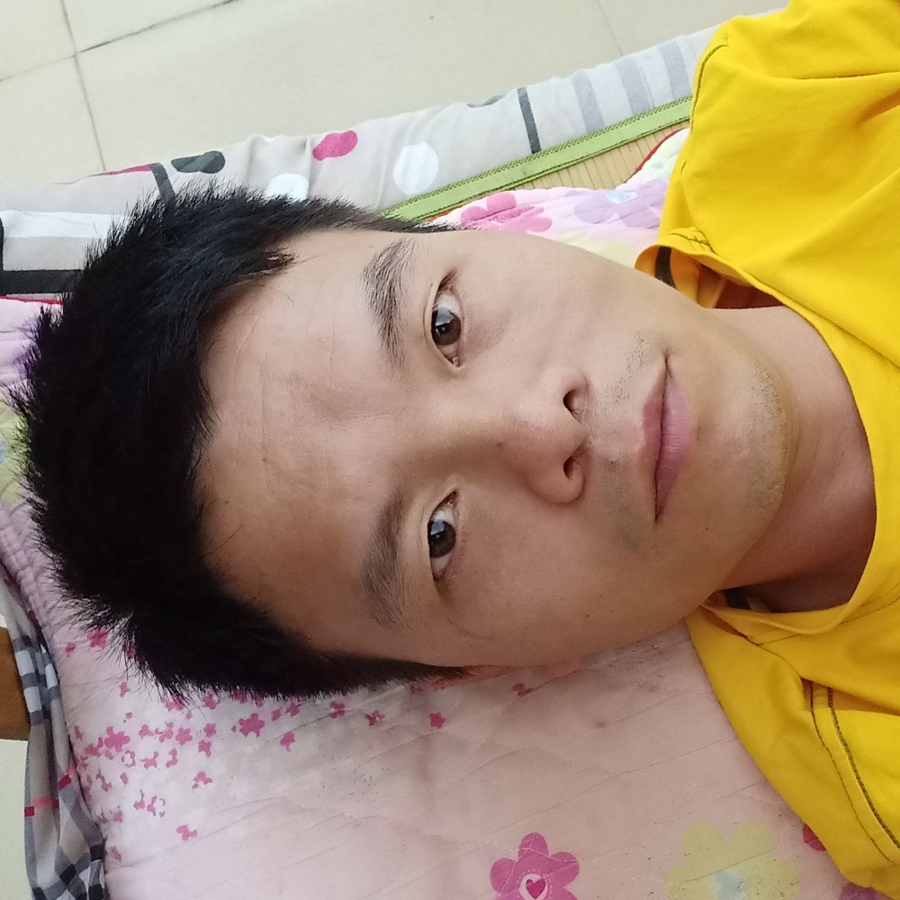无家可归的流浪狗的照片