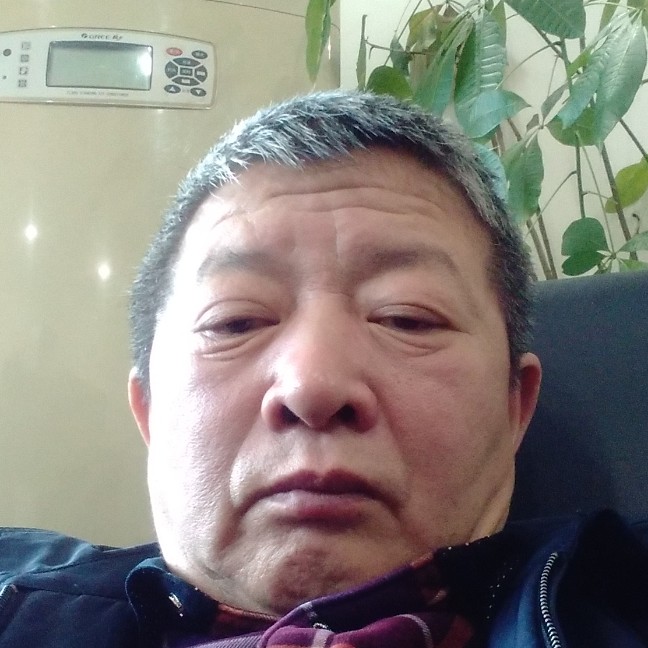 务实演变犀牛的照片