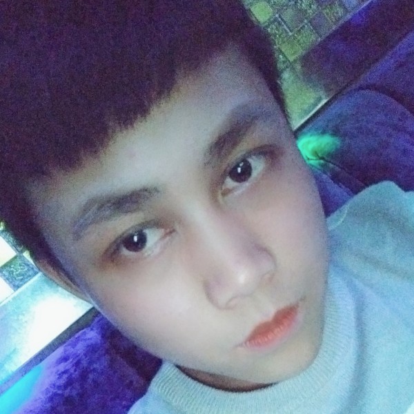 贤惠深拥黄蜂的照片