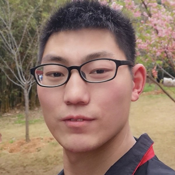 仙人掌欢喜的照片